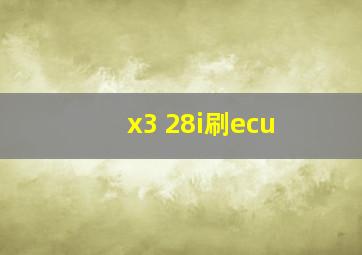 x3 28i刷ecu